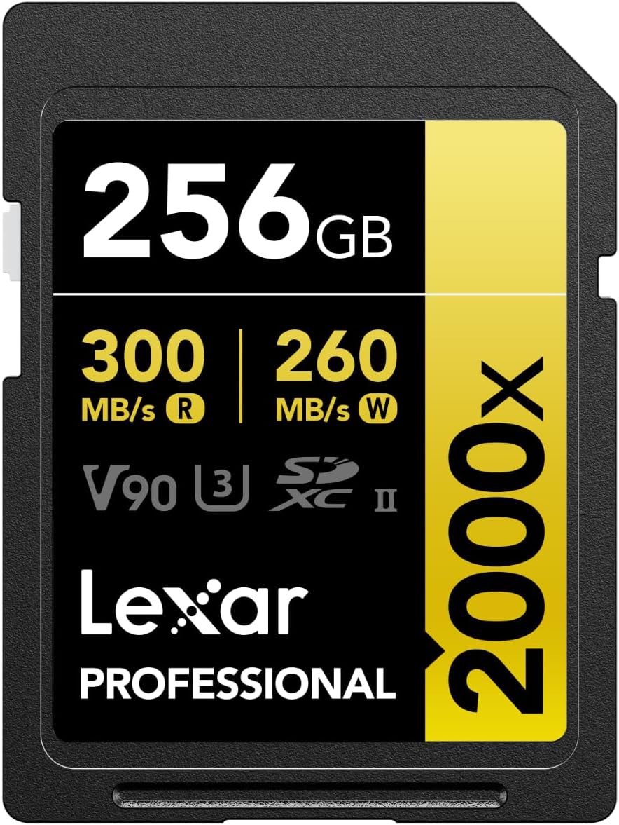 Lexar 256 Go V90